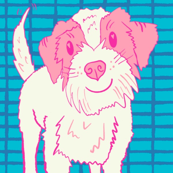 Pink Terrier